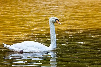 报复IGN日本？《死亡搁浅2》IGN法国仅给出6分评价